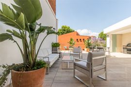 TLC Denia Sprachkurse